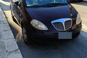 Lancia musa 
