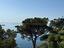 Immagine 18