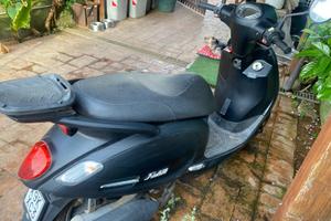 sym  fiddle 50