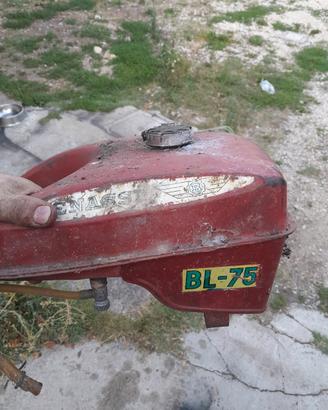 motozappa benassi bl75