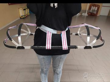 Panier x abito del 1700