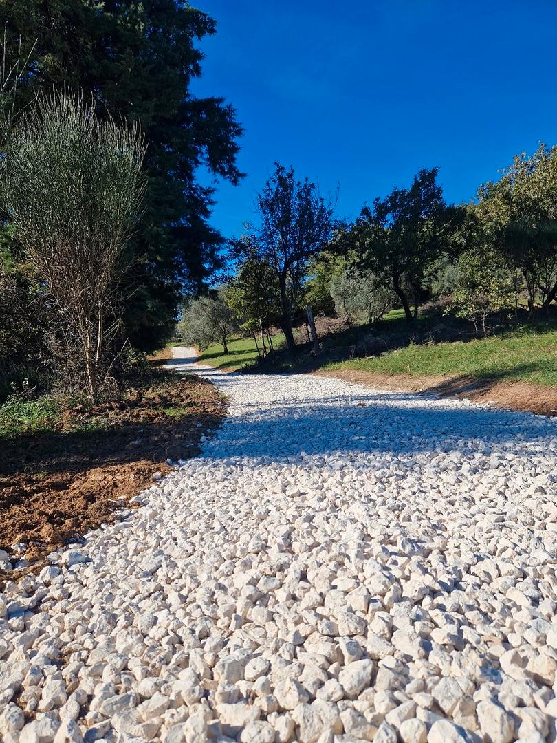 Terreno 6 Ettari con 2 Annessi Agricoli, Bosco e G - Vista 5
