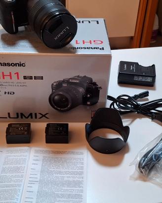 PANASONIC LUMIX GH1 CON OBIETTIVO 14-140