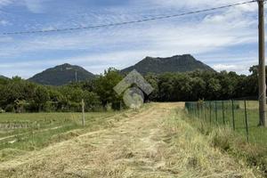 TER. AGRICOLO A GUBBIO