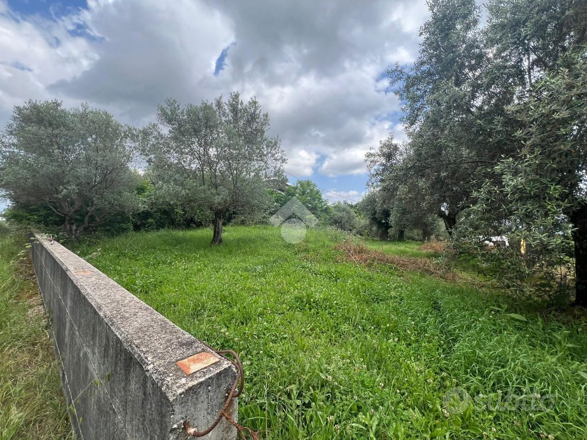 RUSTICO A VEROLI - Vista 5