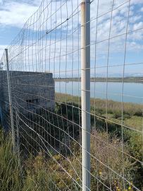 Terreno con varie piante da frutto e ulivi