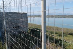 Terreno con varie piante da frutto e ulivi