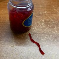 Vermi finti per pesca