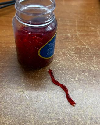 Vermi finti per pesca