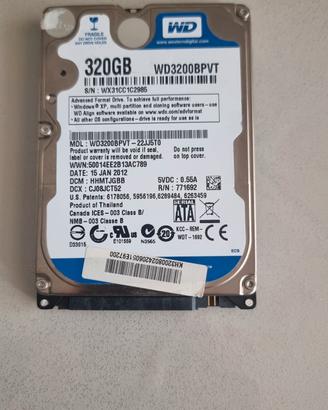 hard disk da 320 gb 
