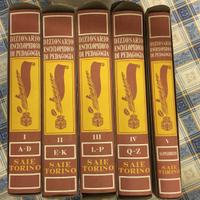Dizionario Enciclopedico di Pedagogia SAIE Torino