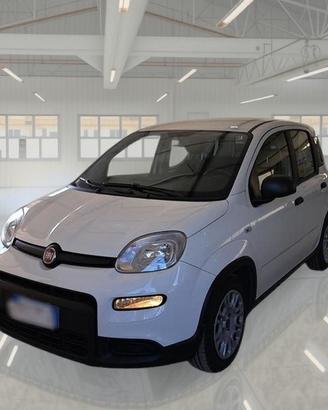 FIAT PANDA 1.0 FIREFLY 70 CV SES HYBRID 5 PORTE BE