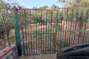 Terreno Agricolo C.da Feotto