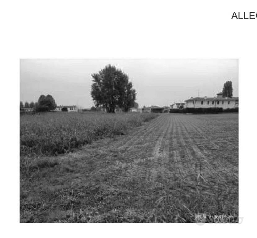 Immobile in asta di 8250 m² a Piacenza d'Adige - Vista 5