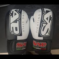 guantoni attrezzatura kickboxing 