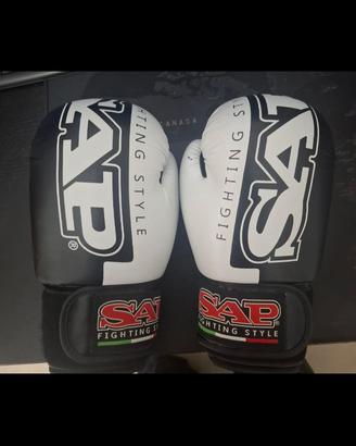 guantoni attrezzatura kickboxing 