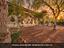 Immagine 17