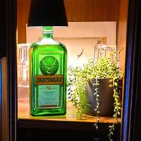 Lampada bottiglia (vuota) Jägermeister, 3 toni, Us