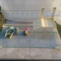 Acquario Tartarium 60