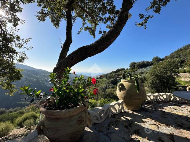 TER. AGRICOLO A VALLEBONA