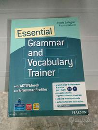 libriGrammar and vocabulay trainer