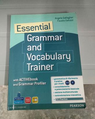 libriGrammar and vocabulay trainer