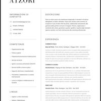 Demì chef/ aiuto cuoco