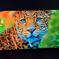 TV LG OLED 42C4