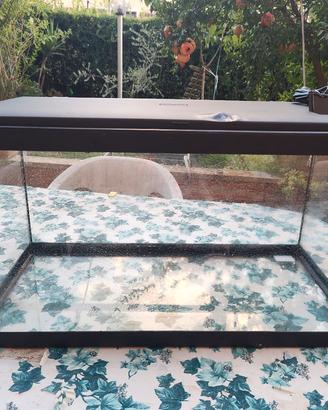 Acquario 55 litri con filtro