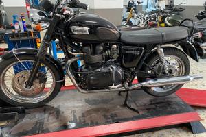 Triumph t 100 black
