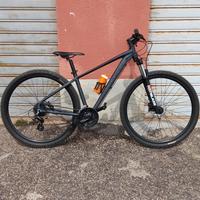 Bici MTB Lee Cougan rebel 