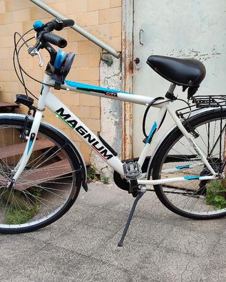 bici magnum 