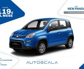 FIAT New Panda 1.0 FireFly City Life S&S Hybrid