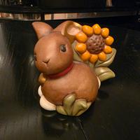 Thun coniglio con girasole