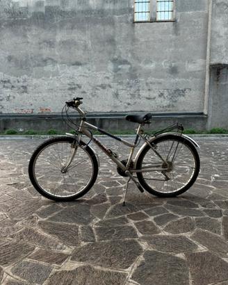 MOUNTAIN BIKE BARRAQUDA