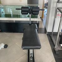 Panca lombari techno gym originale