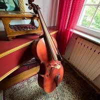 Violoncello da studio