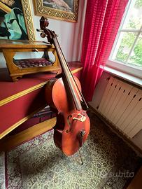 Violoncello da studio