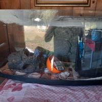 ACQUARIO COMPLETO