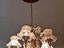 Immagine 6