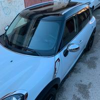 Mini Countryman d 1.6 ALL 4 2013 manuale