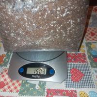 Torba acida per piante carnivore 