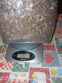 Torba acida per piante carnivore 