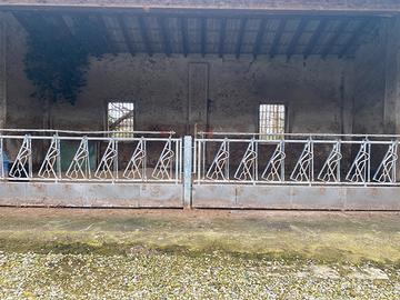 Trappole autocatturanti bovini