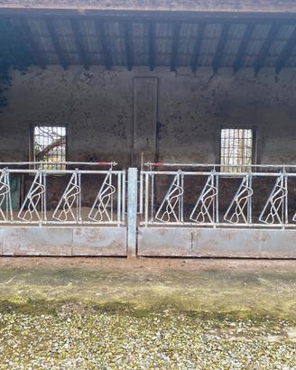 Trappole autocatturanti bovini