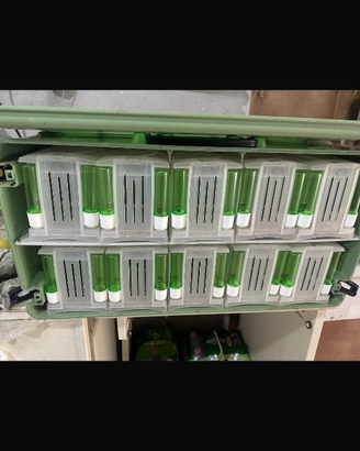 Trasportino per uccelli 2GR