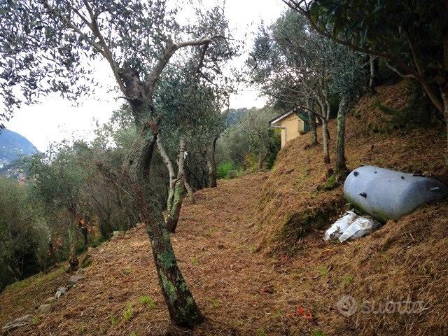 Terreno edificabile Moneglia (Ge) - Vista 4