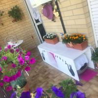 Panca da esterno utile se si ha un gatto