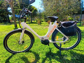bici elettrica 