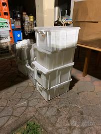 Stock vasche cassette bacinelle alimenti coperchi